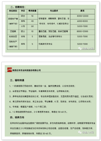 圖片4.png 圖片