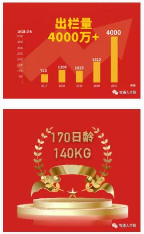 圖片2.png 圖片